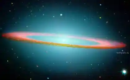 Философия