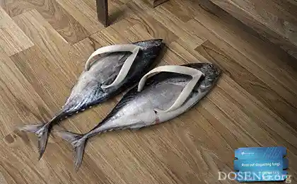 Самая приятная и неприятная реклама дня
