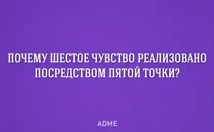 10 думок Папи Франциска