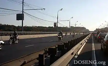 Толпа байкеров до добра не доведет