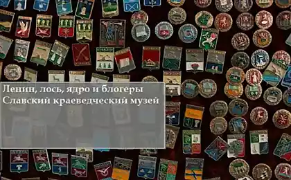 Ленин, лось, ядро и блогеры. Славский краеведческий музей