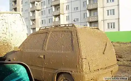 Авто говнозуба