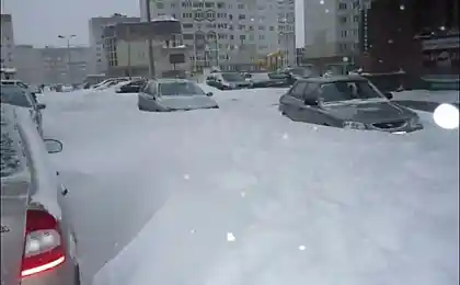 Псков накрыло: последствия крайнего снегопада