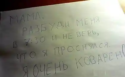 Мемуары нашей жизни