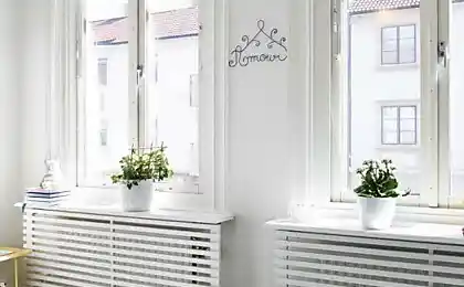 Великі ідеї для вашого будинку: як замаскувати акумулятор