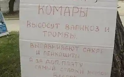Лечебные комарики