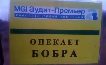Опекуны
