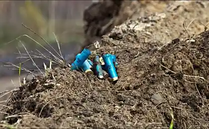Заброшенные торфянники