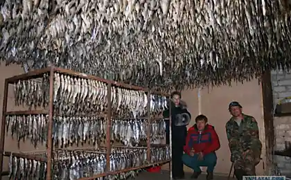 Засихати рибу. . й
