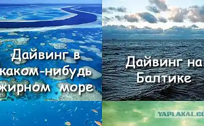 Поганий дайвінг
