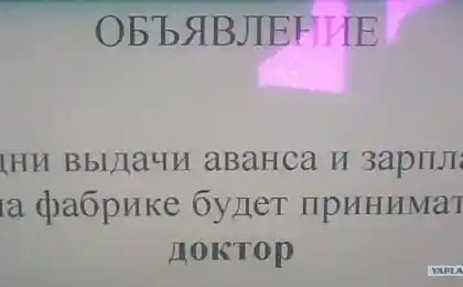 День зарплаты