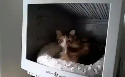 Используйте монитор правильно....))))