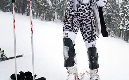 Снежный леопард из африки