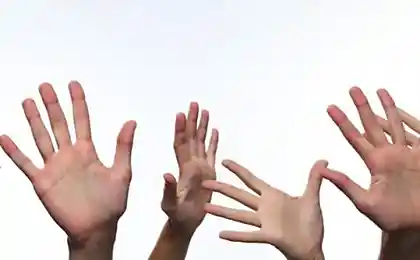 В ваших пальцах нет мышц