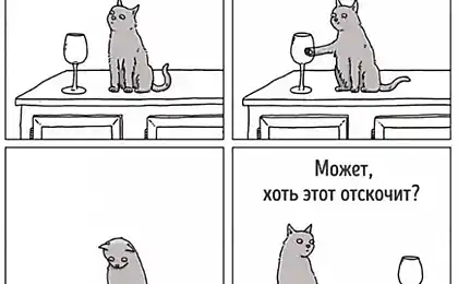 14 comics from the artist, who seems to understand the language of animals