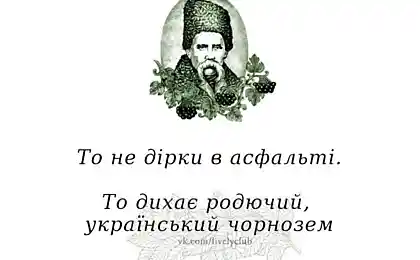 То не дiрки в асфальтi!