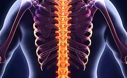 Как исправить искривление позвоночника