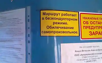 Обилетился самопроизвольно