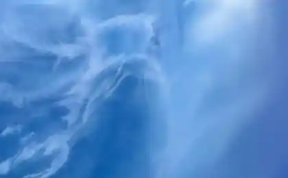 Що ми бачимо.
