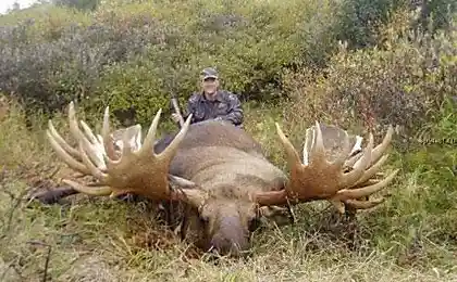 Самые большие в своем роде (11 фото)