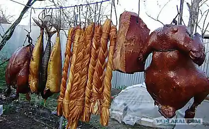 Смотреть одним глазом