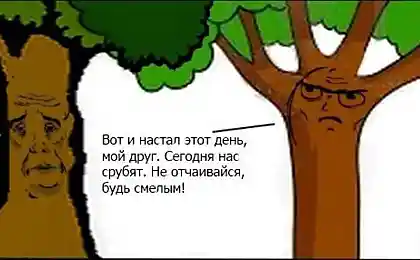 Не спешите радоваться...