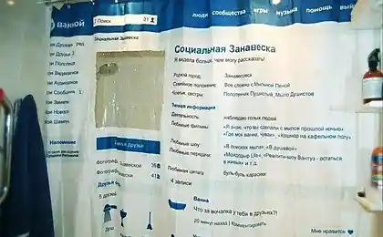 Социальная занавеска