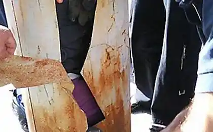 Походження на дитячий садок
