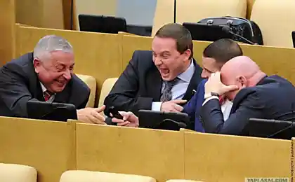 О народе думают