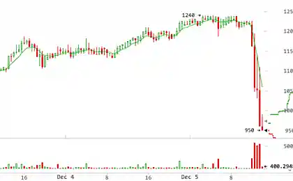 Заявление центробанка Китая обрушило курс биткоина