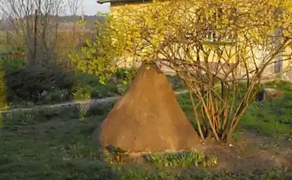 Необычный домик для любимой собаки