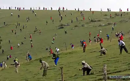 В атаку!