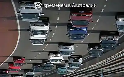У антиподов