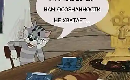 Об уме и осознанности