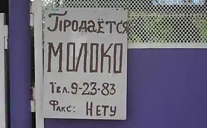 Как же так? без факса?