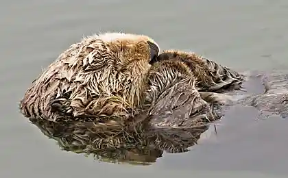 Водные процедуры