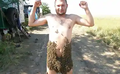 Пчелы - наше все