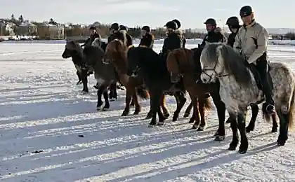 Случай на скачках (5 фото)