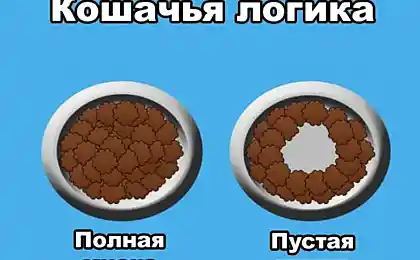 Логика...