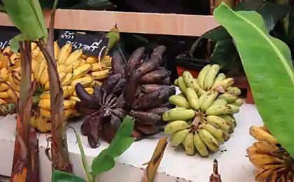 Тайские бананы.