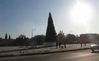 А у нас - Новый Год!