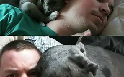 Вырос...
