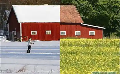 Времена года в фотографиях
