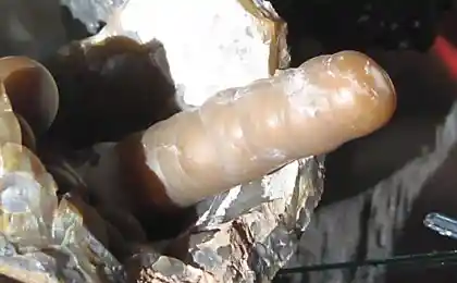 Забавные камешки. Халцедон
