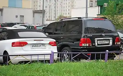 Встретились ВОР с ХАМом