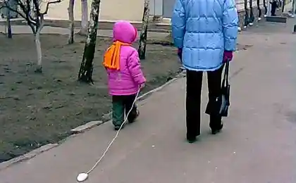 Домашний зверёк 21-го века ))
