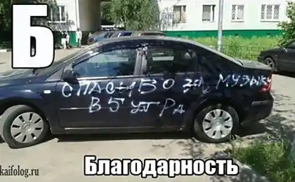 Новий погляд на габітовий алфавіт