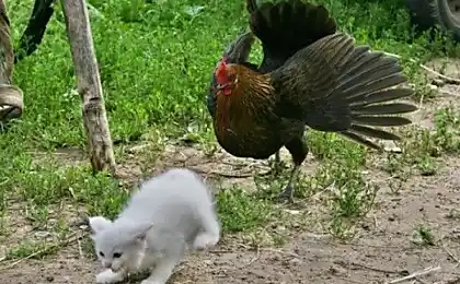 Реальний тато! (2 фото)