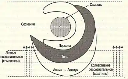 Структура личности по Юнгу