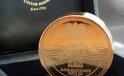 Найдорожчі страви в світі